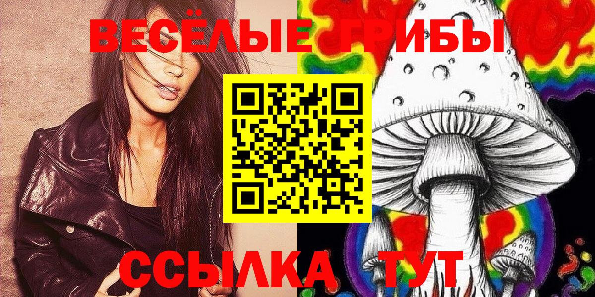 Галлюциногенные грибы Psilocybine cubensis Анжеро-Судженск