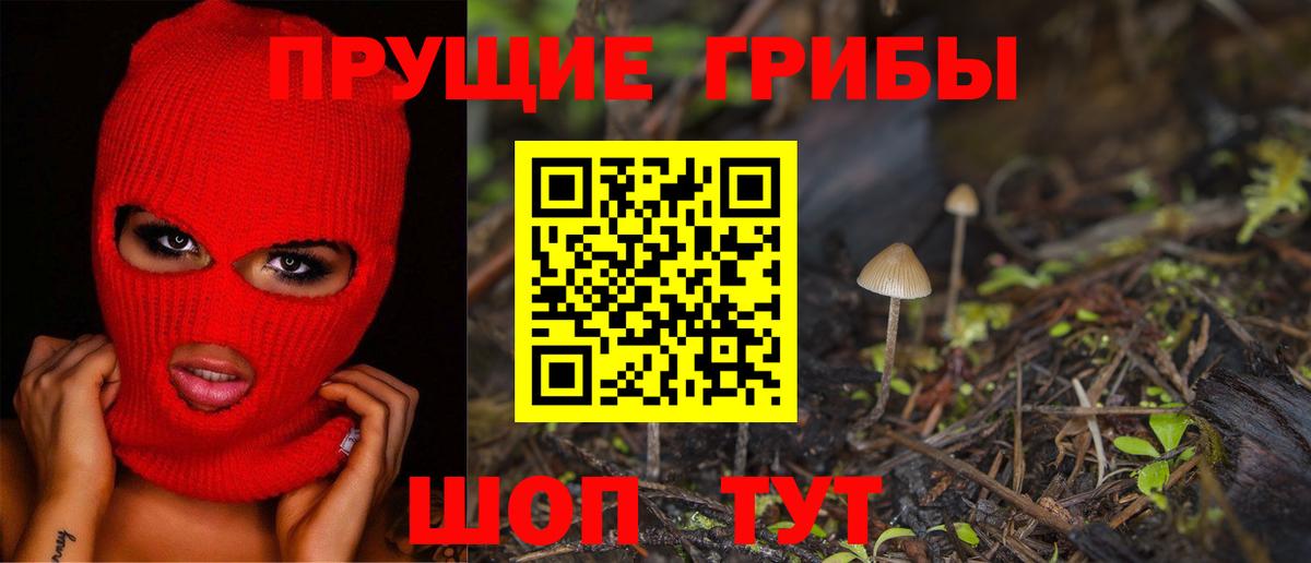 Анжеро-Судженск  Псилоцибиновые грибы мухоморы  Псилоцибиновые грибы MAGIC MUSHROOMS  Вход с VPN 
